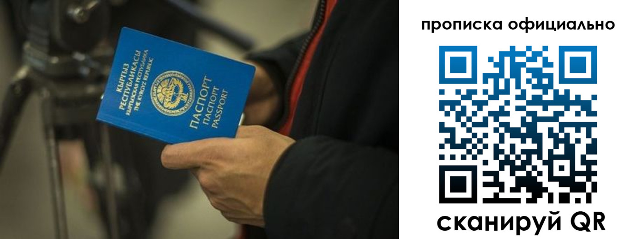 прописка в Невеле
